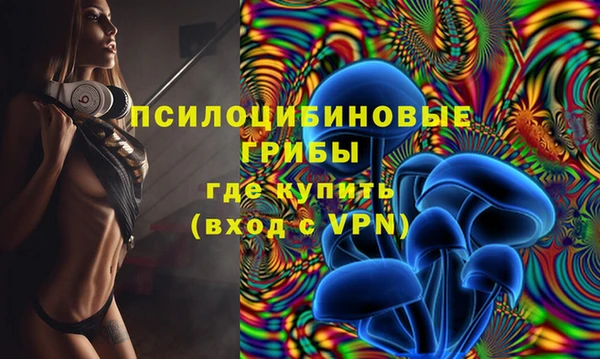 кокс Алексин