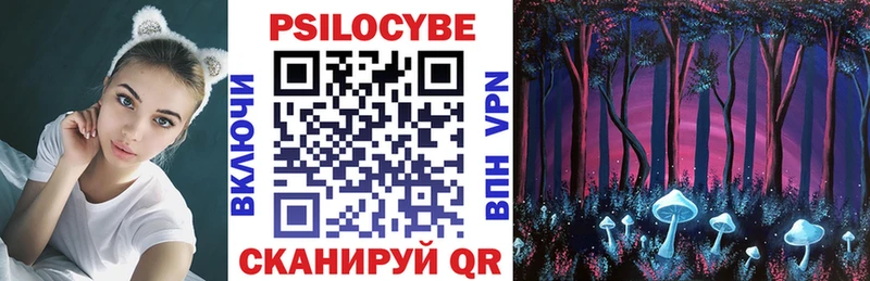 Псилоцибиновые грибы Magic Shrooms  МЕГА ССЫЛКА  Курчалой 