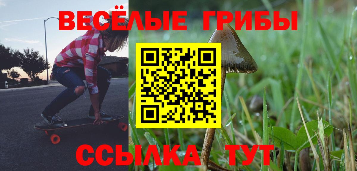 Галлюциногенные грибы ЛСД Курчалой