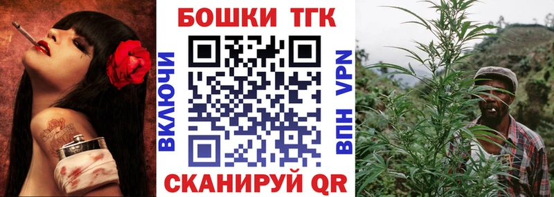 наркотики  Курчалой  Бошки Шишки сатива 